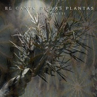 Darío Poletti - El Canto de las Plantas