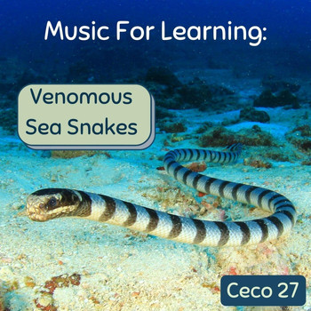 Ceco 27 - Music for Learning: Venomous Sea Snakes