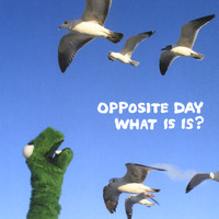 Opposite Day - What is is?