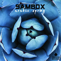 Sambox - Arabic spring