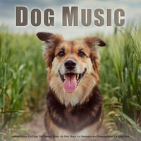 Dog Music, Music For Dog's Ears, Sleeping Music For Dogs - Dog Music: Ambient Music For Dogs, Pet Therapy, Music For Pets, Music For Relaxation and Sleeping Music For Dogs Ears
