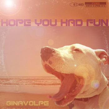 Gina Volpe - Hope You Had Fun