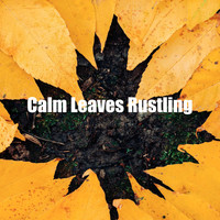 Nature Sounds XLE Library - Calm Leaves Rustling