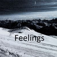 DJ Nick - Feelings