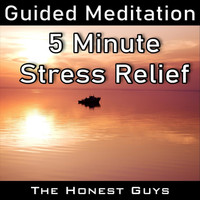 The Honest Guys - Guided Meditation: 5 Minute Stress Relief