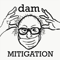 Dam - Mitigation