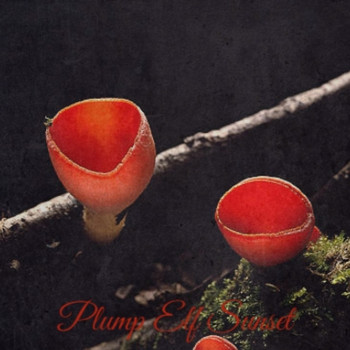 Various Artists - Plump Elf Sunset
