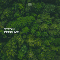 Stegin - Deep Live