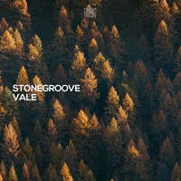 Stonegroove - Vale