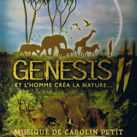 Carolin Petit - Genesis II