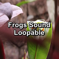 Organic Nature Sounds - Frogs Sound Loopable