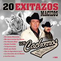 Los Cachorros De Juan Villarreal - 20 Exitazos Macizos