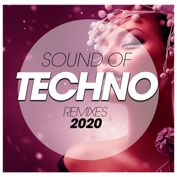 Various Artists - Sound Of Techno Remixes 2020