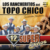 Los Rancheritos Del Topo Chico - Serenata Norteña-12 Super Exitos