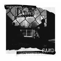 Said - Zugesehen