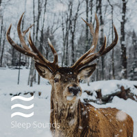 Shushing Songs of Brown Noise - Great sleep all night
