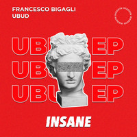 Francesco Bigagli - Ubud