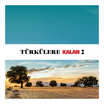 Çeşitli Sanatçılar - Türkülere Kalan, Vol. 2