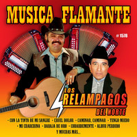 Los Relampagos Del Norte - Musica Flamante