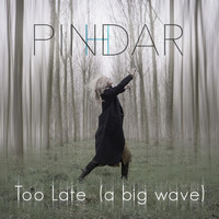 Pinhdar - Too Late (A Big Wave)
