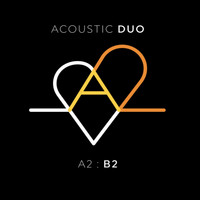 A2 - A2: B2