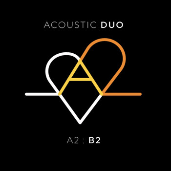 A2 - A2: B2
