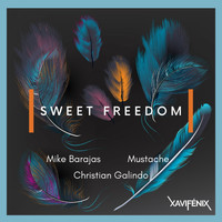 Various Artists / - Sweet Freedom