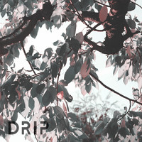 Drip - Flip