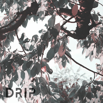 Drip - Flip