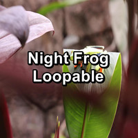 Organic Nature Sounds - Night Frog Loopable