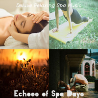 Deluxe Relaxing Spa Music - Echoes of Spa Days