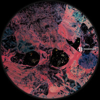 Error Etica - Parallel Universe