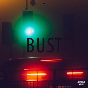 Various Artists - Bust