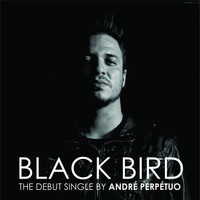 André Perpétuo - Black Bird