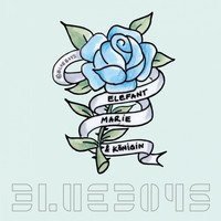 Blue Boys - Elefant, Marie und Königin