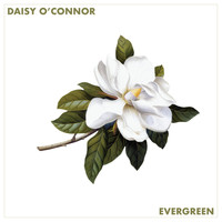 Daisy O'Connor - Evergreen