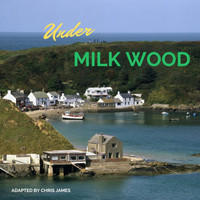 Chris James - Under Milk Wood