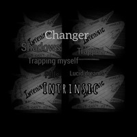 Changer - Intrinsic
