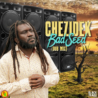 Chezidek, Adrian Donsome Hanson - Bad Seed (Dub Mix)