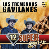 Los Tremendos Gavilanes - 12 Super Exitos