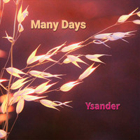 Ysander - Many Days