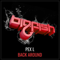 Pex L - Back Around