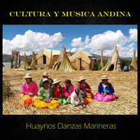 Alejandro Vivanco / Alejandro Vivanco - Cultura y Musica Andina, Huaynos Danzas Marineras