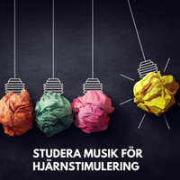 Avslappning Musik Akademi - Studera musik för hjärnstimulering: Bättre minne och produktiv arbete hemma