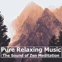 Relaxing Spa Music, Spa & Spa, Spa Music Consort - Pure Relaxing Music (The Sound of Zen Meditation)