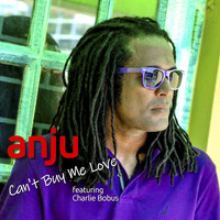 Anju - Can't Buy Me Love (feat. Charlie Bobus)