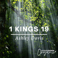 Ashley Davis - 1 Kings 19