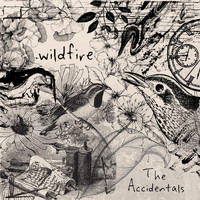 The Accidentals - Wildfire