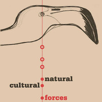 Warren Smith - Natural / Cultural Forces