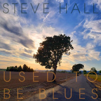 Steve Hall - Used to Be Blues